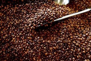 פנסיון Tlcafè Hospitality