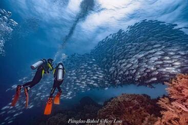 Ultra Mint Dive Resort