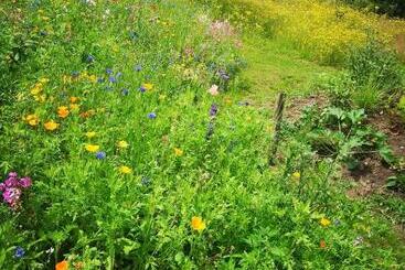 Bed & Breakfast Markelo