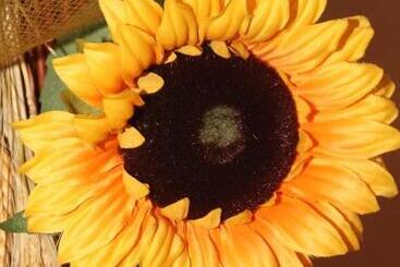 ホテル Albergo Caravasc