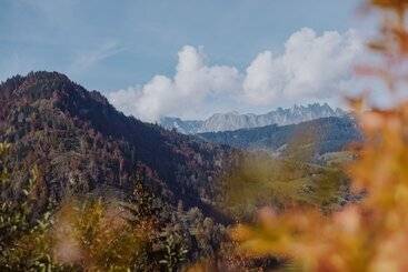 בית מלון כפרי Berghof   St Johann In Salzburg