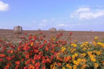 Popilia Country Resort