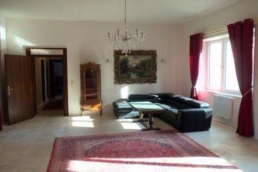 公寓 Villa Wellspacher