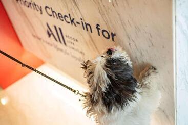 酒店 Ibis New Delhi Aerocity An Accor Brand