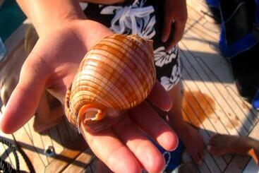 酒店 Apartments Villa Riva