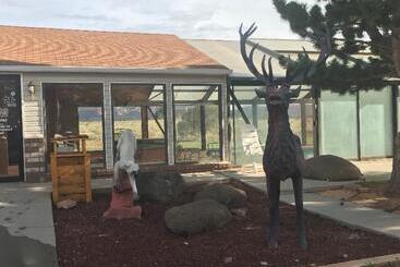 ホテル Broken Spur Inn & Steakhouse