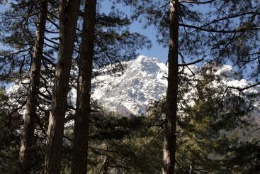 酒店 Chambres D Hôtes Casa Alta
