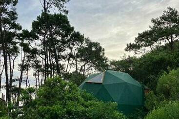 هتل کپسول Domosdemar