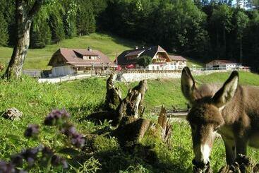 ペンション Ferienwohnung Hochsteinalm