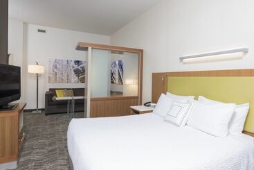 Отель Springhill Suites Detroit Auburn Hills