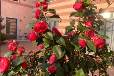 酒店 Casa San Marco