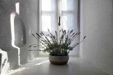 호텔 Orologopoulos Mansion Luxury