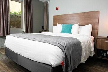 هتل Urban Boutique