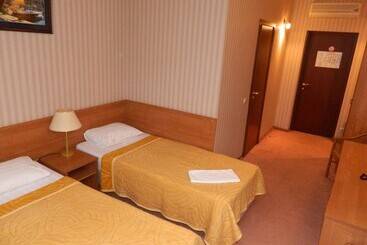 호텔 Bogemia Business