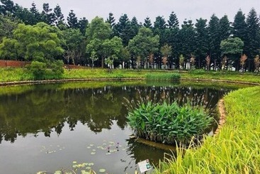 South Garden Hotels And Resorts