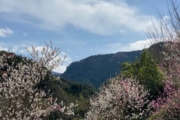 酒店 Yufuin Ryoan Wazanhou