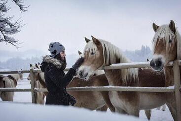 膳宿费 Kaiserhaus Harald Astner Ebbs Studio 1