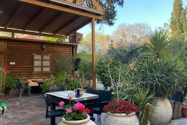 بنسيون Rehovot