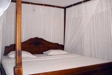 فندق Baby Red Fish