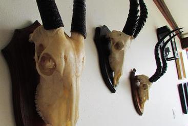 ホテル Buhala Game Lodge