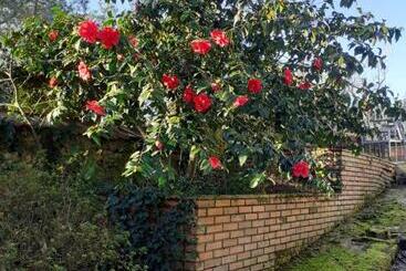 مبيت وإفطار Château Des Bretonnières Sur Vie Maison D Hôtes