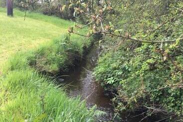 مبيت وإفطار Ferney House