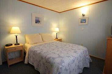 酒店 Elmwood Motor Court