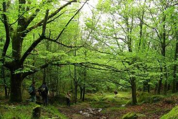 Carmo S Boutique Hotel Small Luxury Hotels Of The World