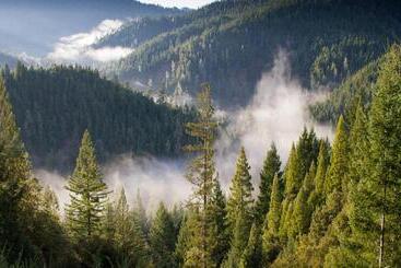 Parnis Palace Hotel Suites