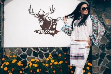 Пансион Vila Stefana Paltinis