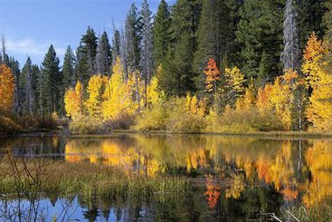 公寓 Snowbird Condos at Mammoths Canyon Lodge