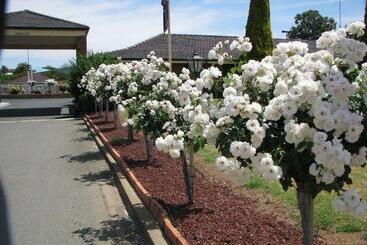 هتل Bushmans Motor Inn