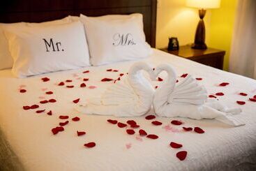 ホテル Hilton Garden Inn Valley Forge/oaks