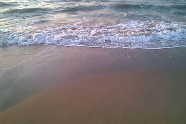 בית מלון כפרי The Wave