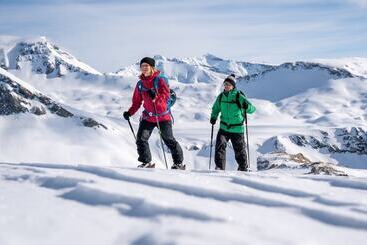 בית מלון כפרי Signina