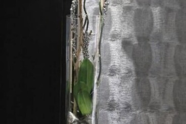 هتل The Originals Du Grand Monarque Nantes Gare