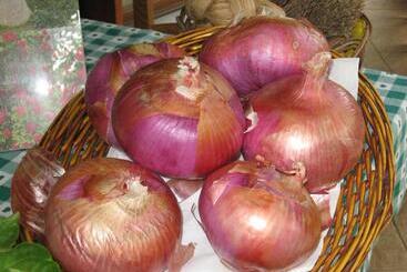 Сельский дом Su Leunaxiu