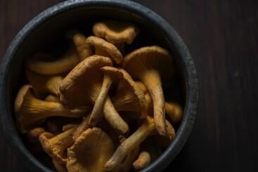 Hallerbos B&b In Bluebell Forest