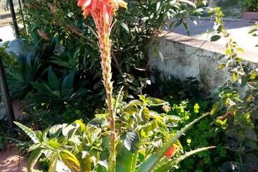 شقة فندقية Casa Vacanze Villa Angela Con Piscina House Country Per 8 Persone