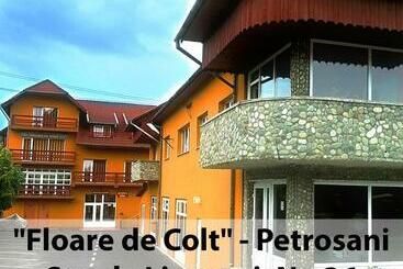 פנסיון Floare De Colt Petrosani