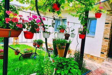 膳宿费 Casa Razvan Vama Veche