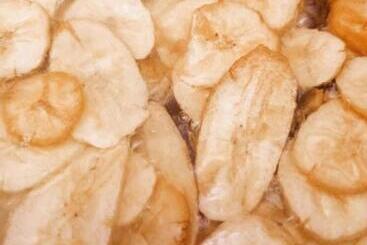 پانسیون La Happycleta