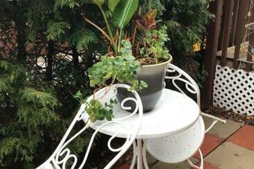 膳宿费 Mariya Studio