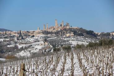 مبيت وإفطار Agriturismo Torre Prima Holidays