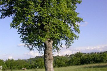 Antica Dimora