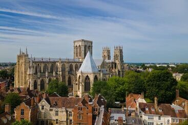 Отель Grays Court