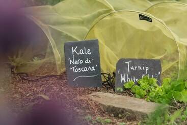 فندق Grays Court