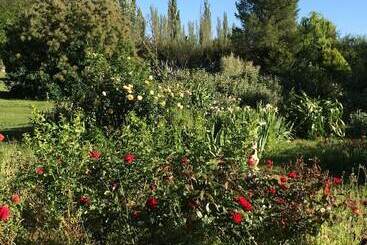 בית מלון כפרי Andes Lands