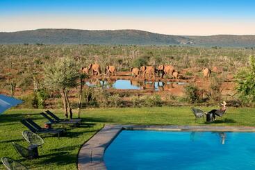 ホテル Madikwe Safari Lodge