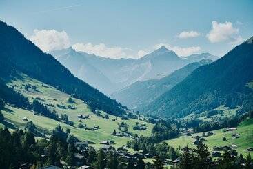 Отель The Alpina Gstaad